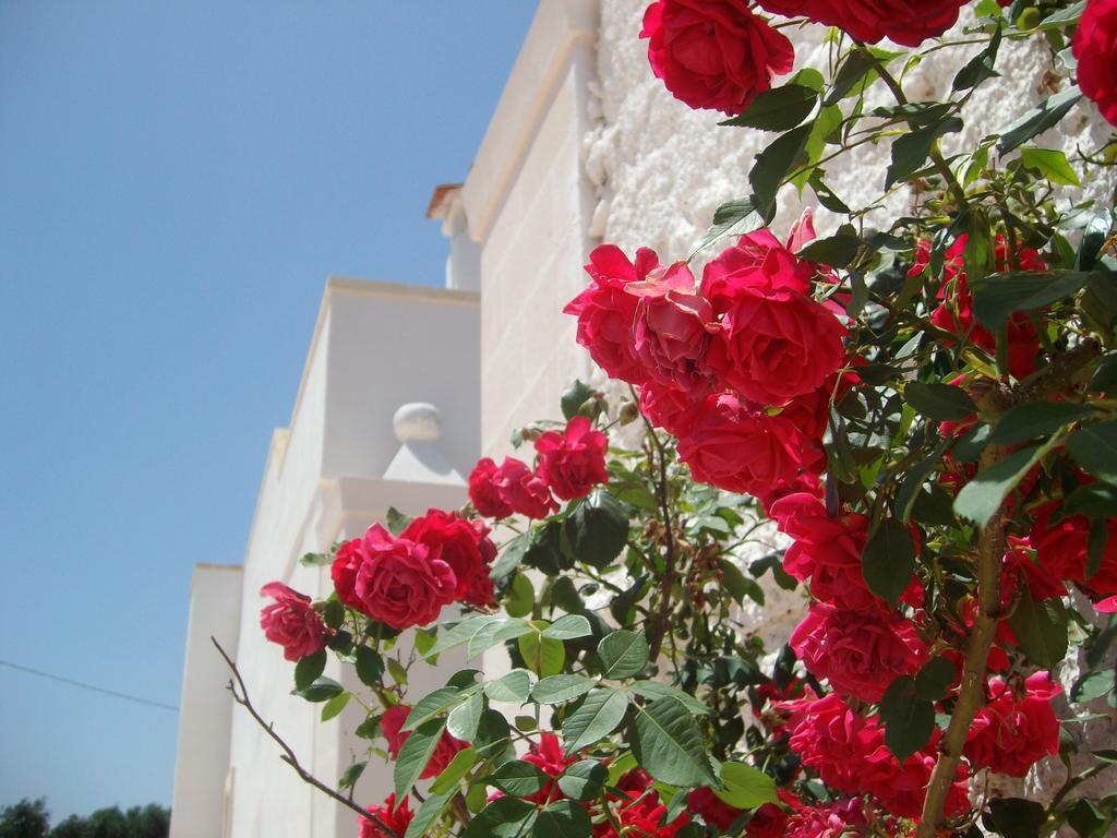 Masseria Nuova Francavilla Fontana Eksteriør bilde