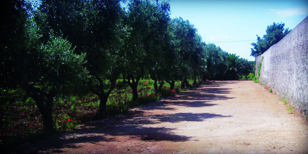 Masseria Nuova Francavilla Fontana Eksteriør bilde