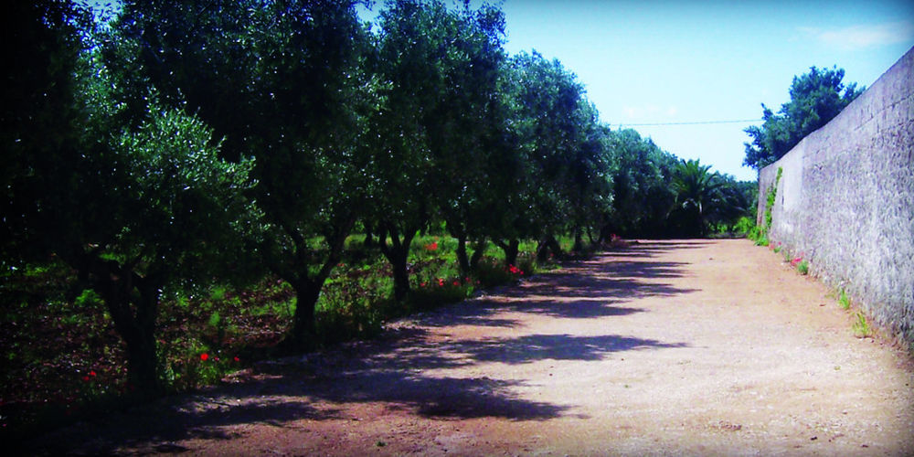 Masseria Nuova Guest House San Marzano di San Giuseppe Eksteriør bilde